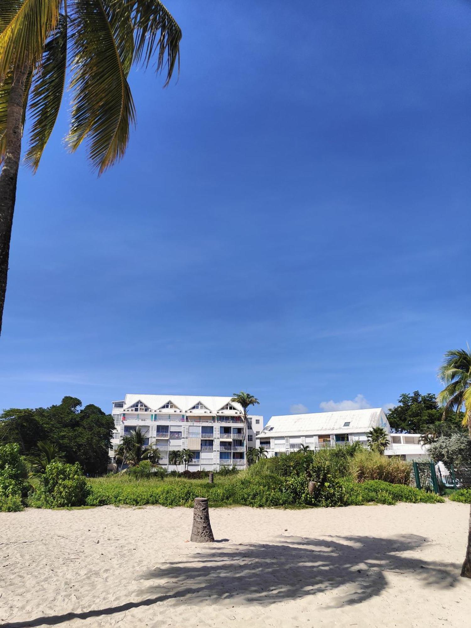 Studio West-Indies Residence Savane Et Archipel Ле-Гозьє Екстер'єр фото